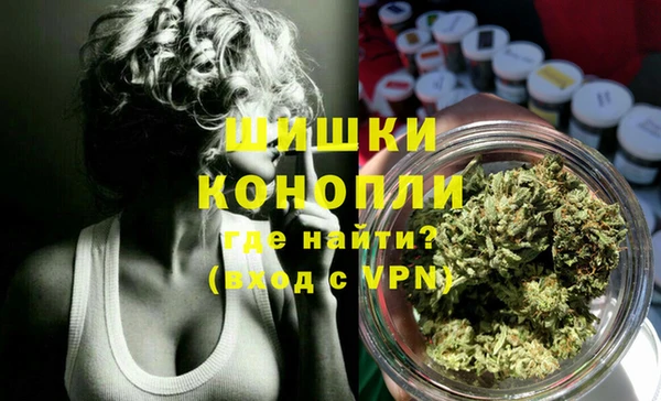 хмурый Бронницы