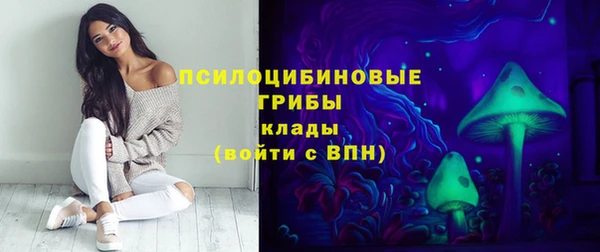 хмурый Бронницы